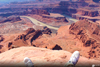 Dead Horse Point